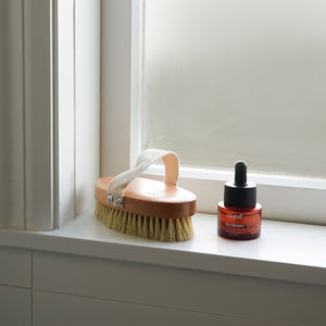 Ionic Dry Body Brush