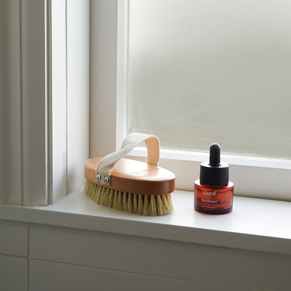 Ionic Dry Body Brush
