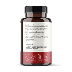 Gut Digest