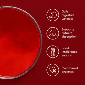 Gut Digest