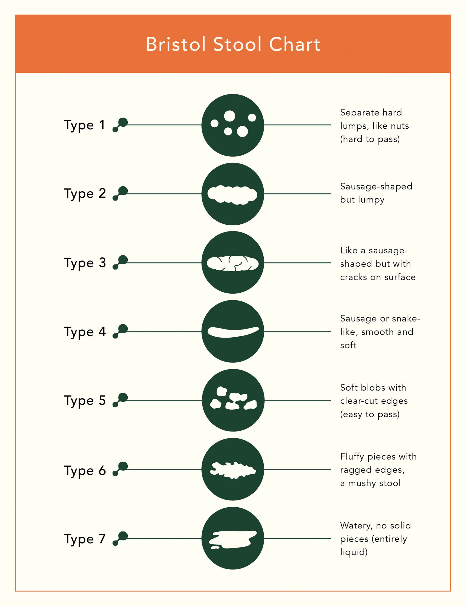 The Scoop on Poop Gutsi