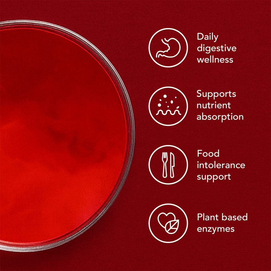 Gut Digest - Image 2