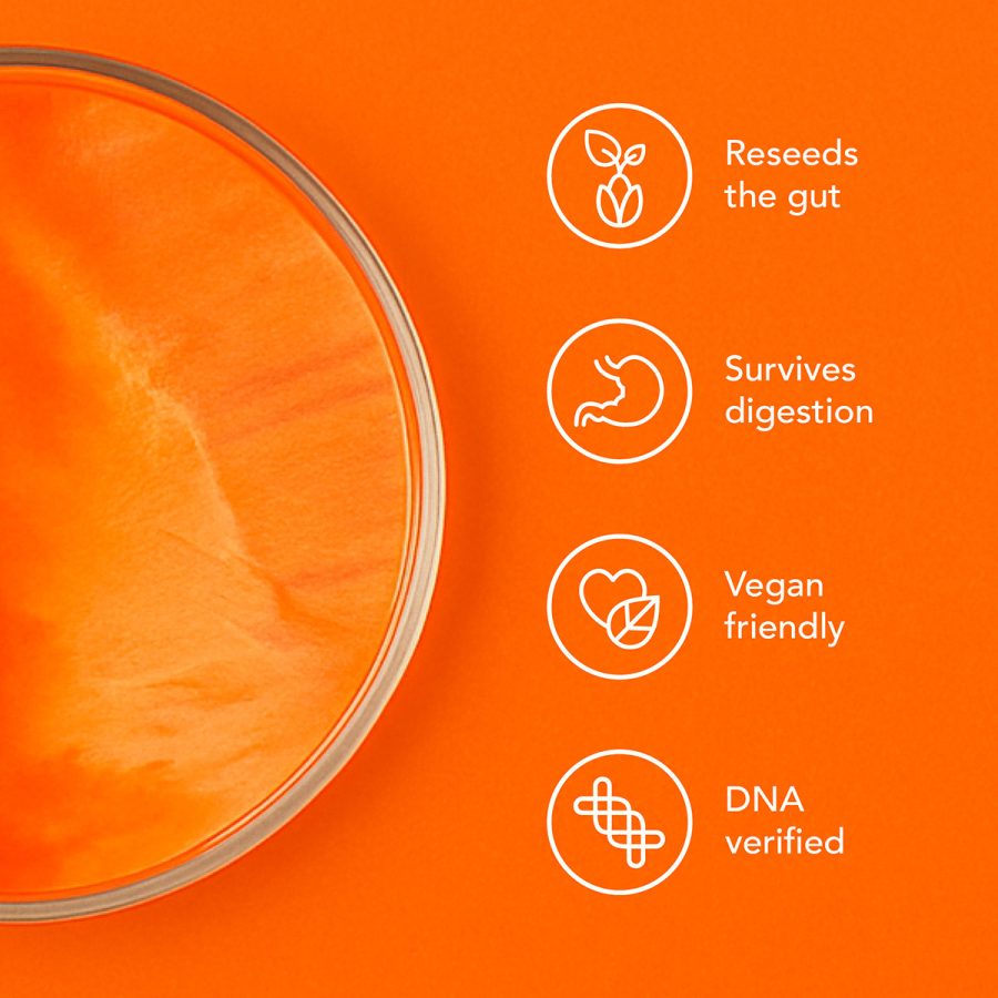 SporeBiotic™ - Image 2